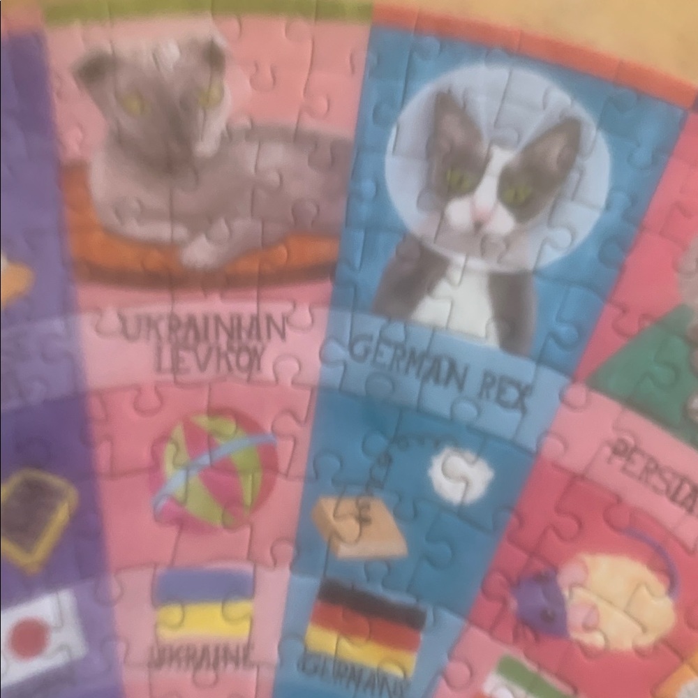 Puzzle by eeboo. 500ct. Cats of the World. - Picture 8 of 12